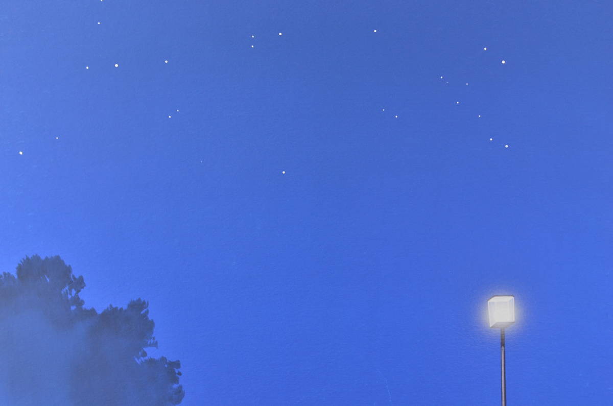 背景と手書きレイアウト原図 カードキャプターさくら 21 84 １カット 検索用セル画 カードキャプターさくら 売買されたオークション情報 Yahooの商品情報をアーカイブ公開 オークファン Aucfan Com