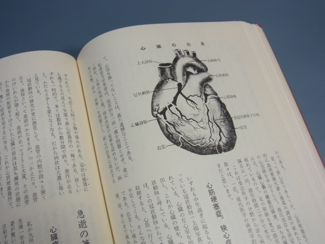 メルカリ 皇法指圧治方学講授 （八光流柔術）(奥山龍峰) ⁄ 古本、中古