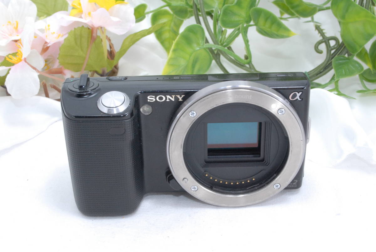 NEX-5 SONY ボディ ブラック α - ソニー Sony 通販テレビ・オーディオ