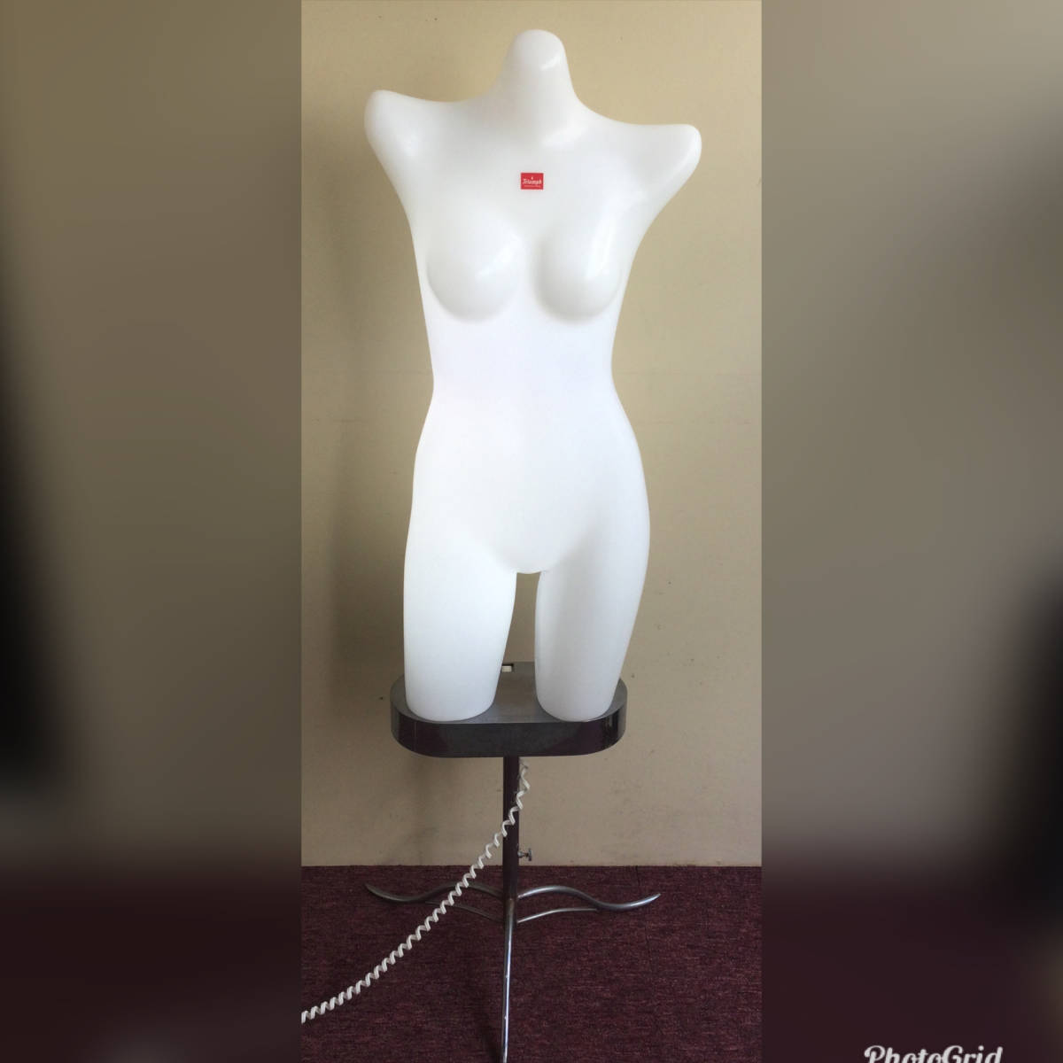 低価，定番 Triumph トライアンフ 綺麗に光るマネキン 下着ディスプレイ 水着 ブラジャー 電飾トルソー 人体 アパレル レディース 店舗什器 F(女性)｜売買されたオークション情報、yahooの商品情報をアー 女性