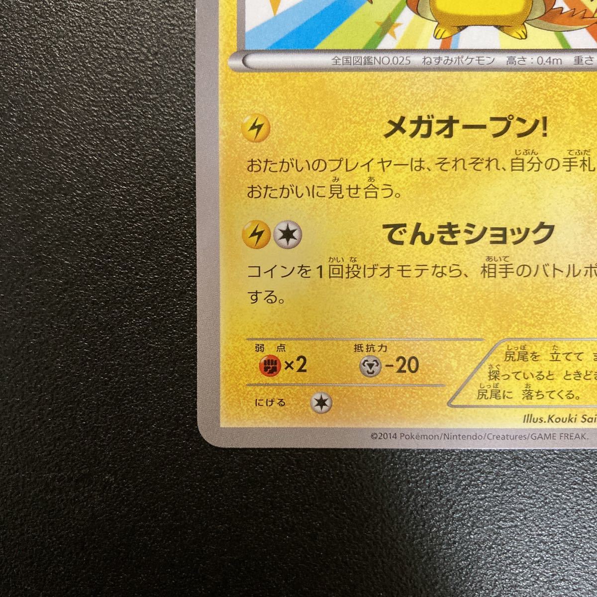 ピカチュウ メガトウキョーのピカチュウ リザードン ポンチョ ポケモン