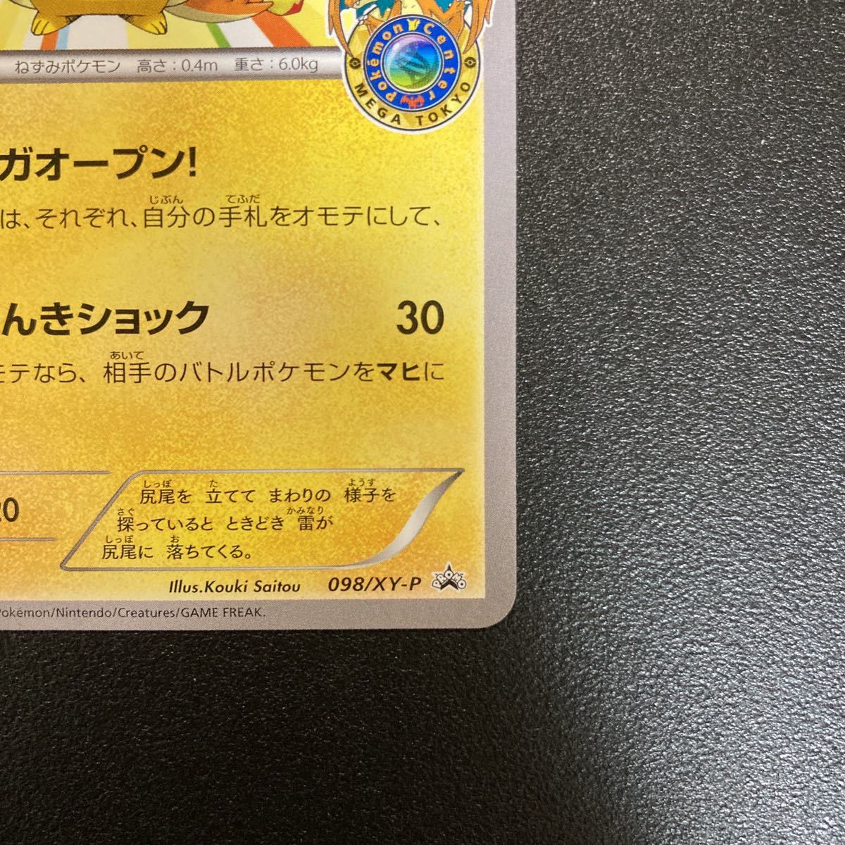 ピカチュウ メガトウキョーのピカチュウ リザードン ポンチョ ポケモン