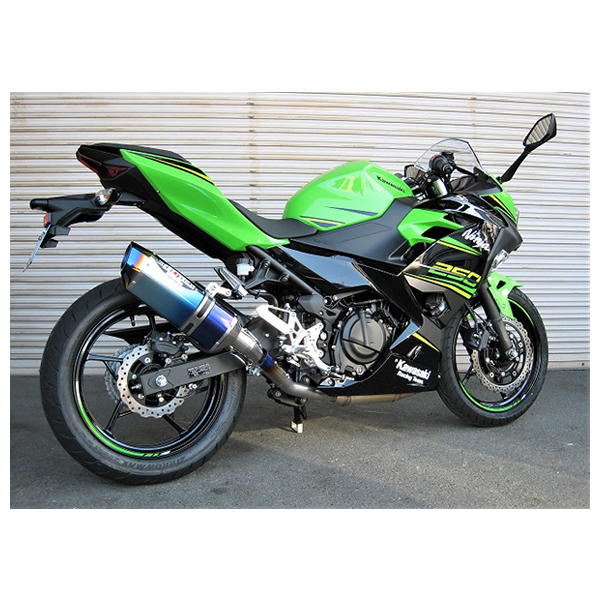 Evolution BEET Full Exhaust Nassert Beet NASSERT Kawasaki TypeII