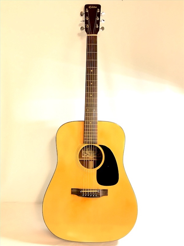 1円～ アコースティックギター TAKAMINE GAKKI タカミネ楽器 Elite
