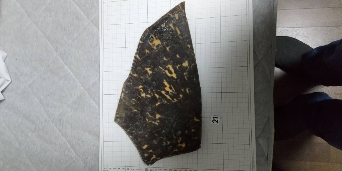 l521155705.1