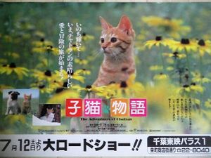 ムツゴロウの値段と価格推移は？｜18件の売買データからムツゴロウの