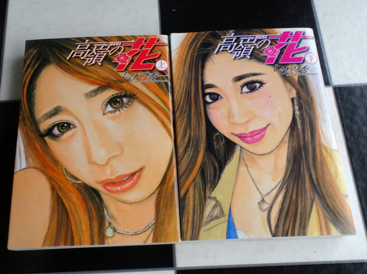 激レア未使用 頭文字d 全巻 高嶺の花 上下巻 入荷即納可能 本 音楽 ゲーム 漫画 Roe Solca Ec