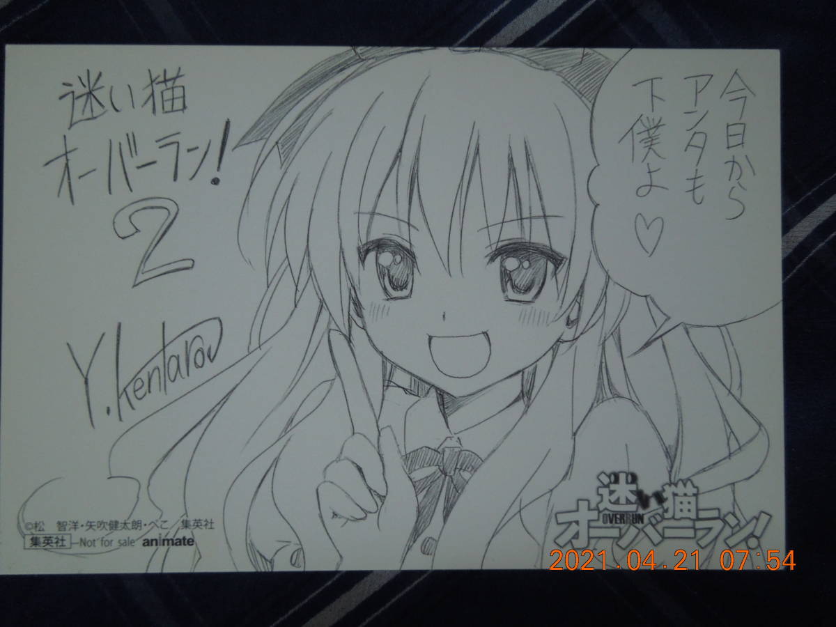 迷い猫オーバーラン 2 イラストカード / 松智洋 矢吹健太朗 ぺこ