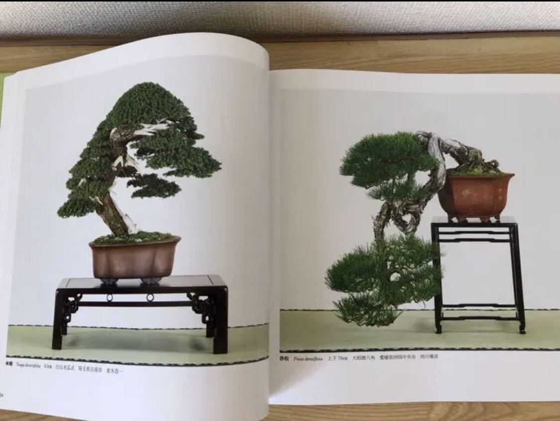 国風盆栽展 第91回〜94回 4冊 国風盆栽展 第91回〜94回 4冊 第94回 銘