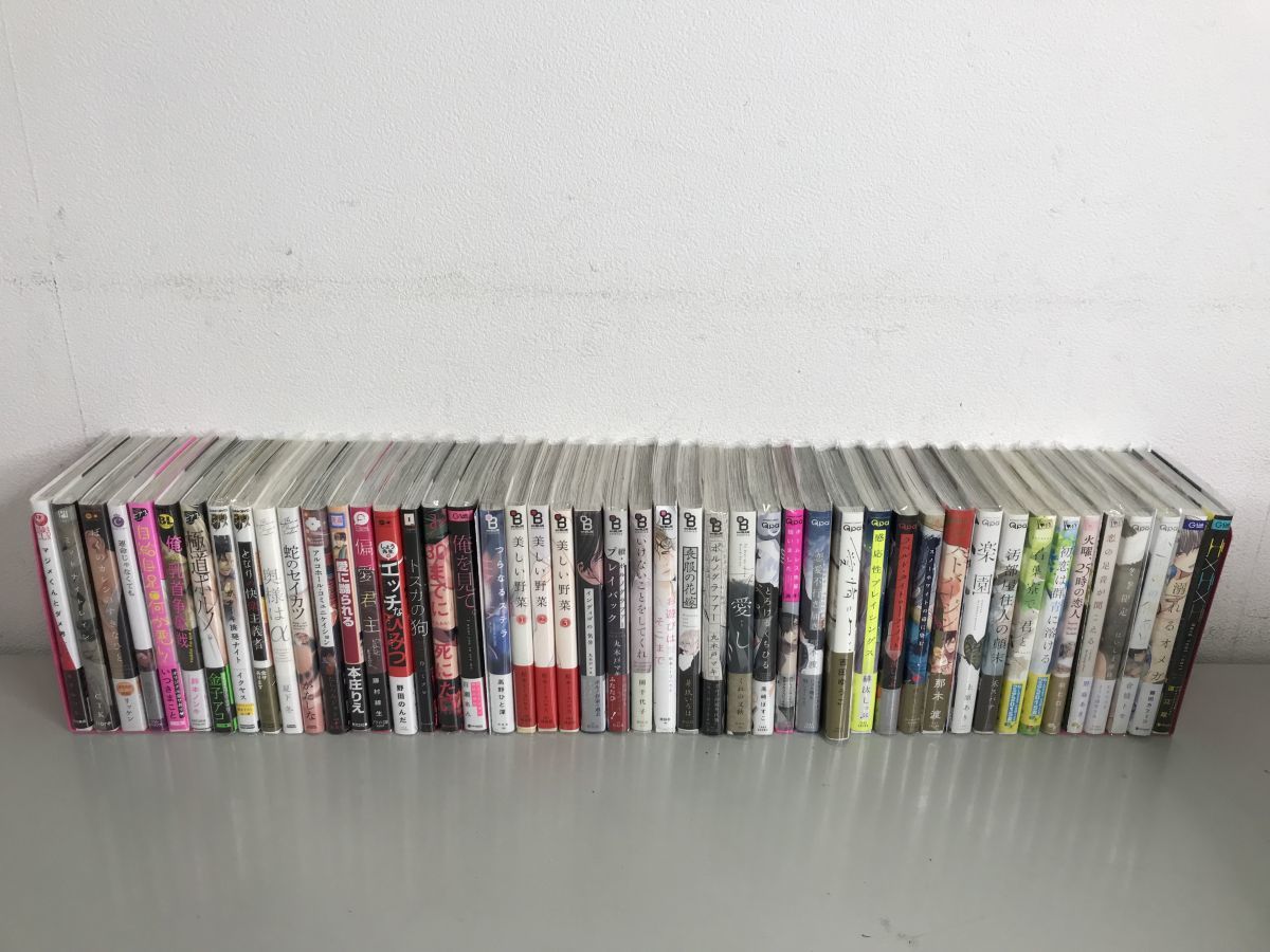 SR962-100K ボーイズラブ まとめて 漫画 BLコミック ③ 美しい野菜/火曜、25時の恋人/溺れるオメガ /偏愛君主/恋の足音が聞こえる