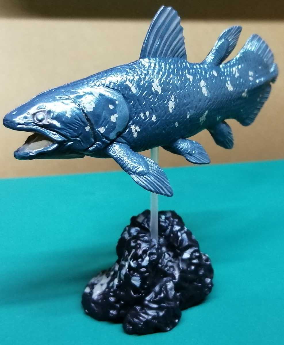 シーラカンス 古代魚 フィギュア 生き物 売買されたオークション情報 Yahooの商品情報をアーカイブ公開 オークファン Aucfan Com