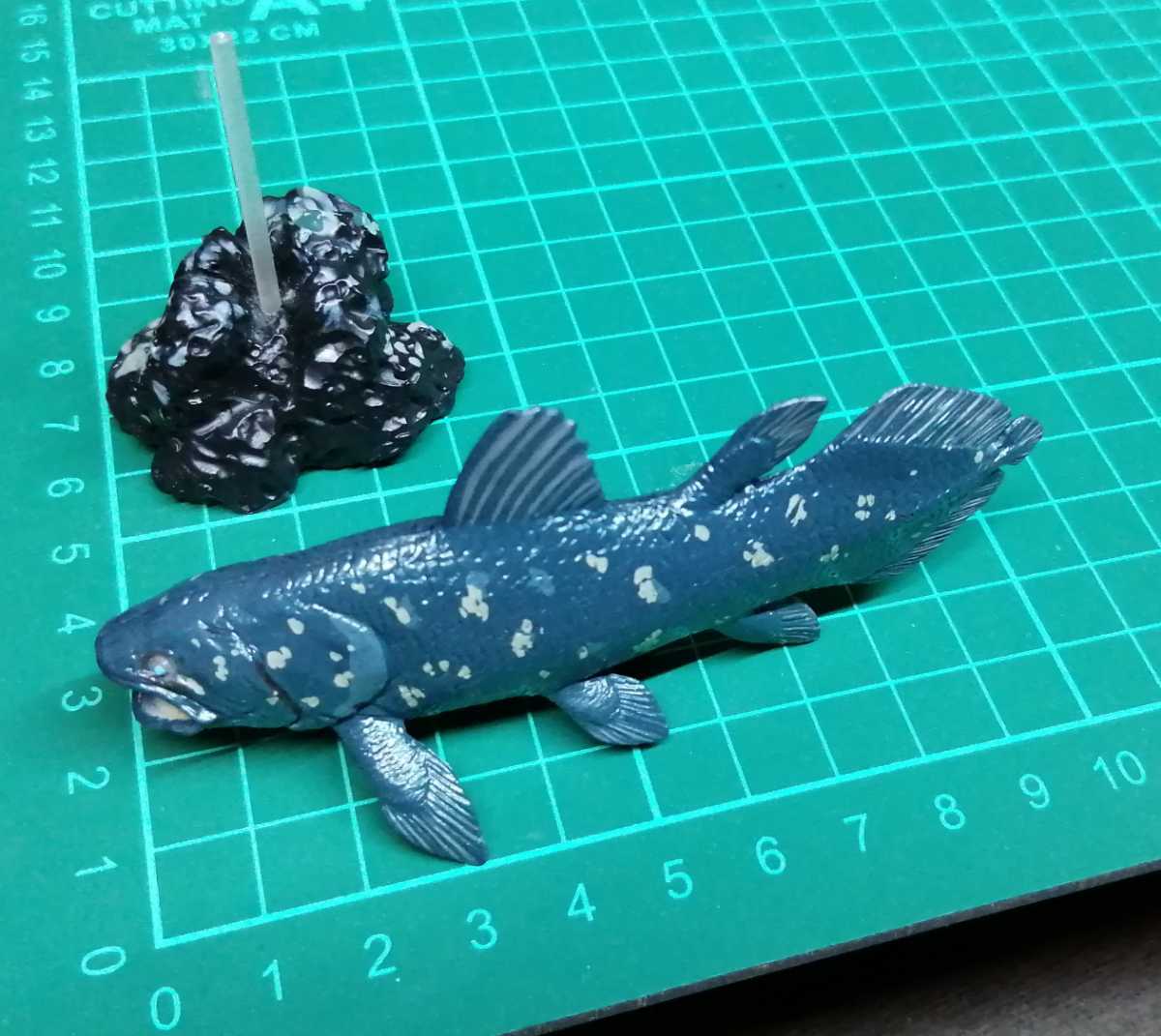 シーラカンス 古代魚 フィギュア 生き物 売買されたオークション情報 Yahooの商品情報をアーカイブ公開 オークファン Aucfan Com