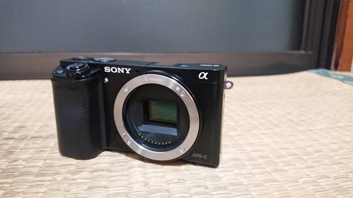 SONY ソニー α6000 本体 見た感じはキズとかある感じです 【公式通販】