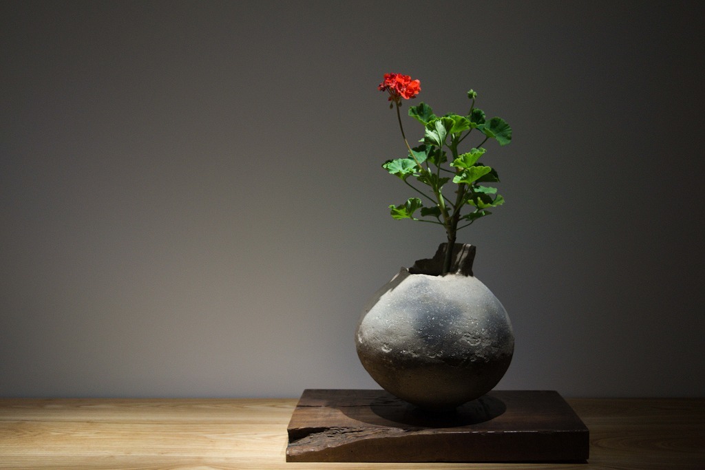 佳香】杉本浩太郎 幅50cm 色絵薊紋俎板皿 共箱 本物保証 陶芸家 杉本