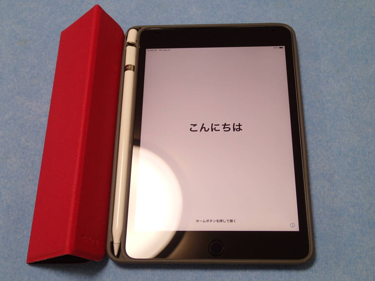 iPad mini 5 (第5世代）256GB Wi-Fi＋cellular SIMフリー スペース