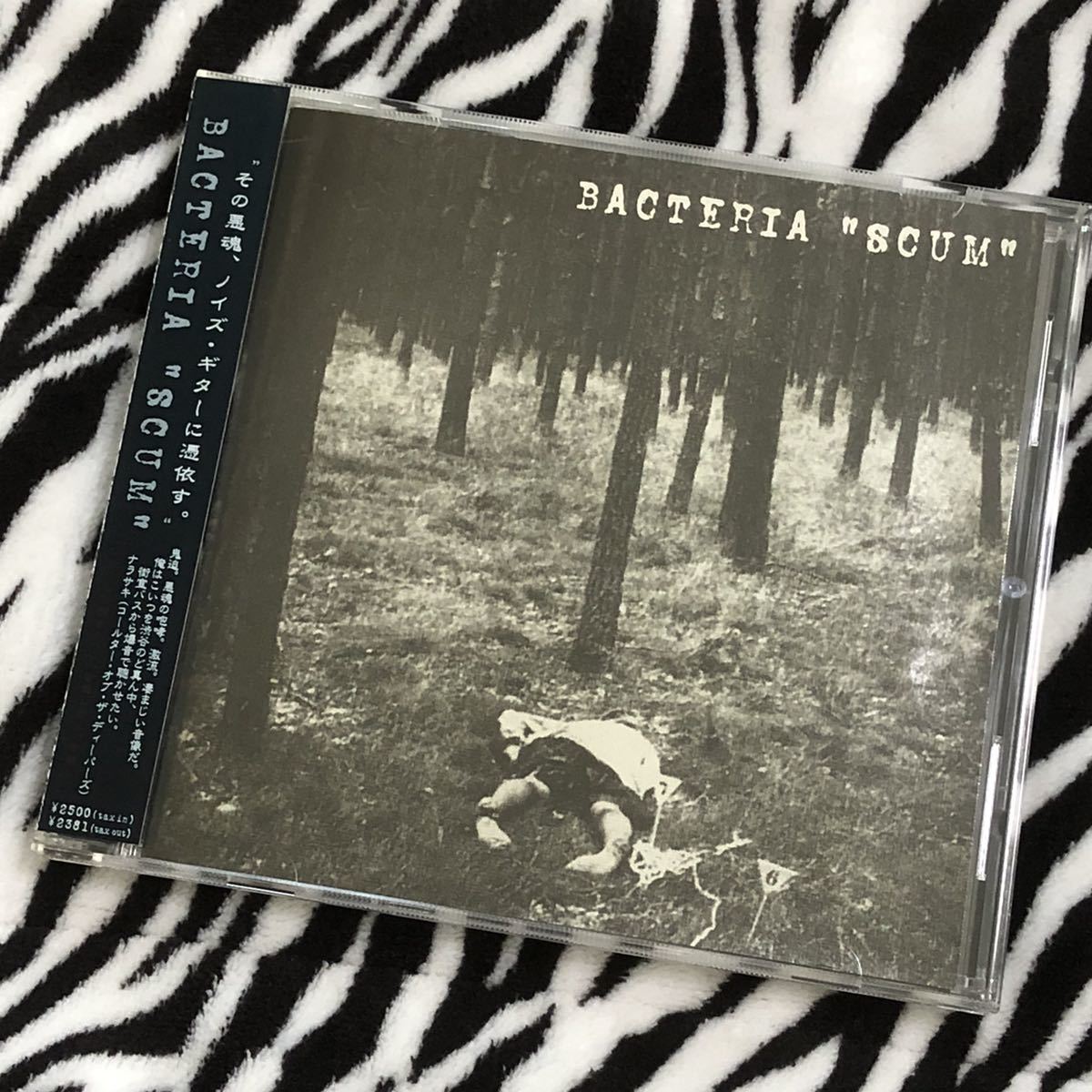 100%新品，限定セール BACTERIA バクテリア CD:YBO2 トランス Z.O.Aゾア 血と雫 黒色エレジー アサイラム SODOMソドム ボアダムス オートモッド ポジティブパンク(インディーズ)｜売買されたオークション情報、yahooの商品 インディーズ