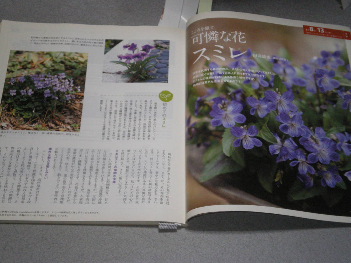 菜々様のミモザを準備します^ - ^（ミモザたっぷりハッピーイエロー 