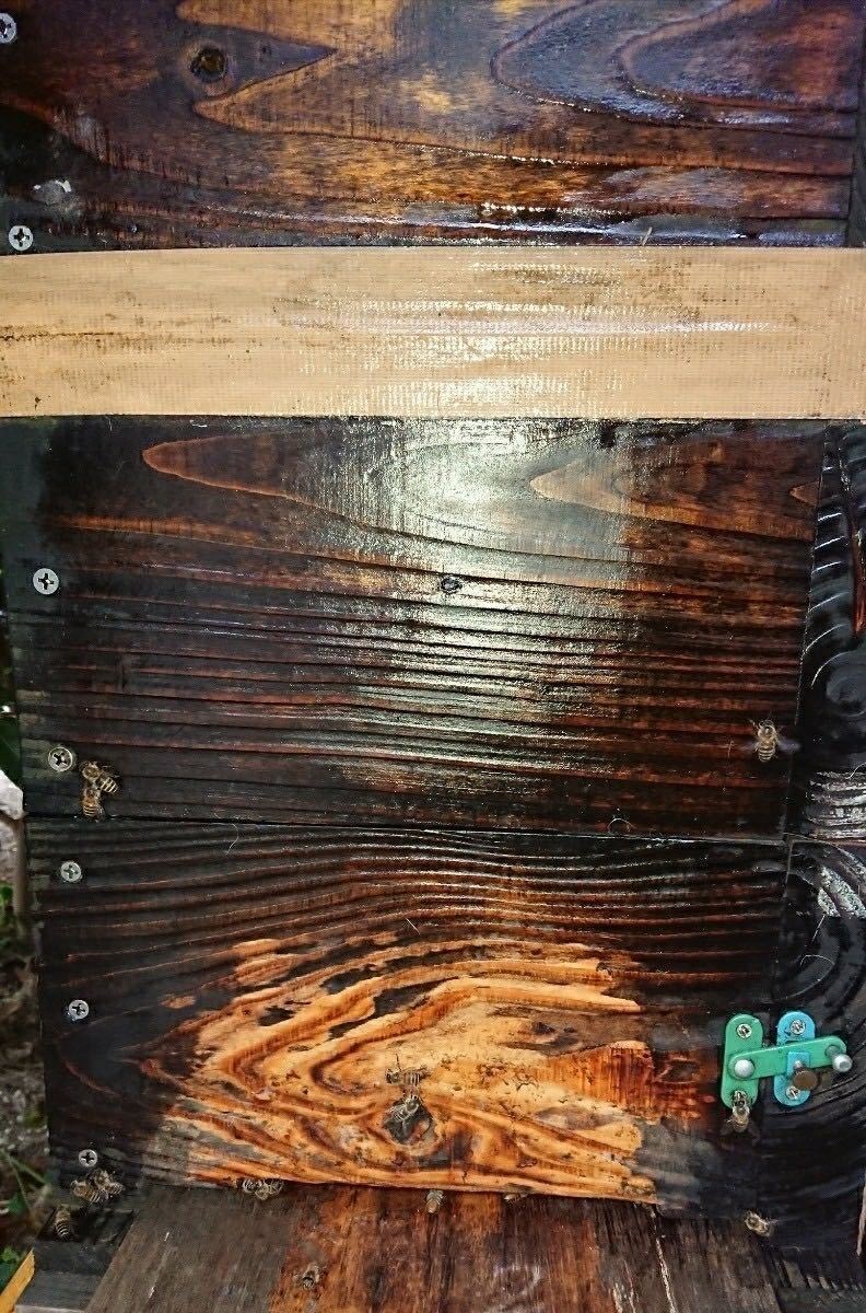 分かりやすいカラー説明書付き！毎年大好評！ 日本蜜蜂誘引液500ml×2本ミツバチ みつばち ルアー 分蜂 養蜂 蜜蝋 巣箱 キンリョウヘン_9