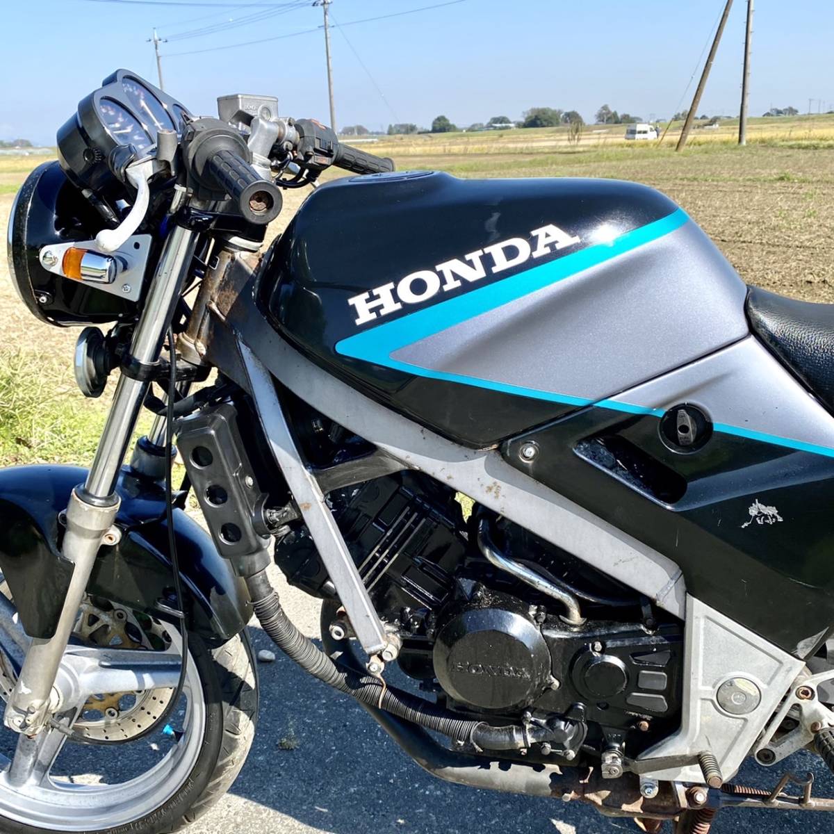 ホンダ VTZ250 MC15 始動 書類付 現状車 希少 (検FC VTZ VT250FE VTR