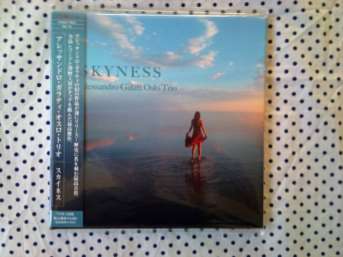 【美品】SKYNESS - Alessandro Galati Oslo Trio　CD　１枚_1