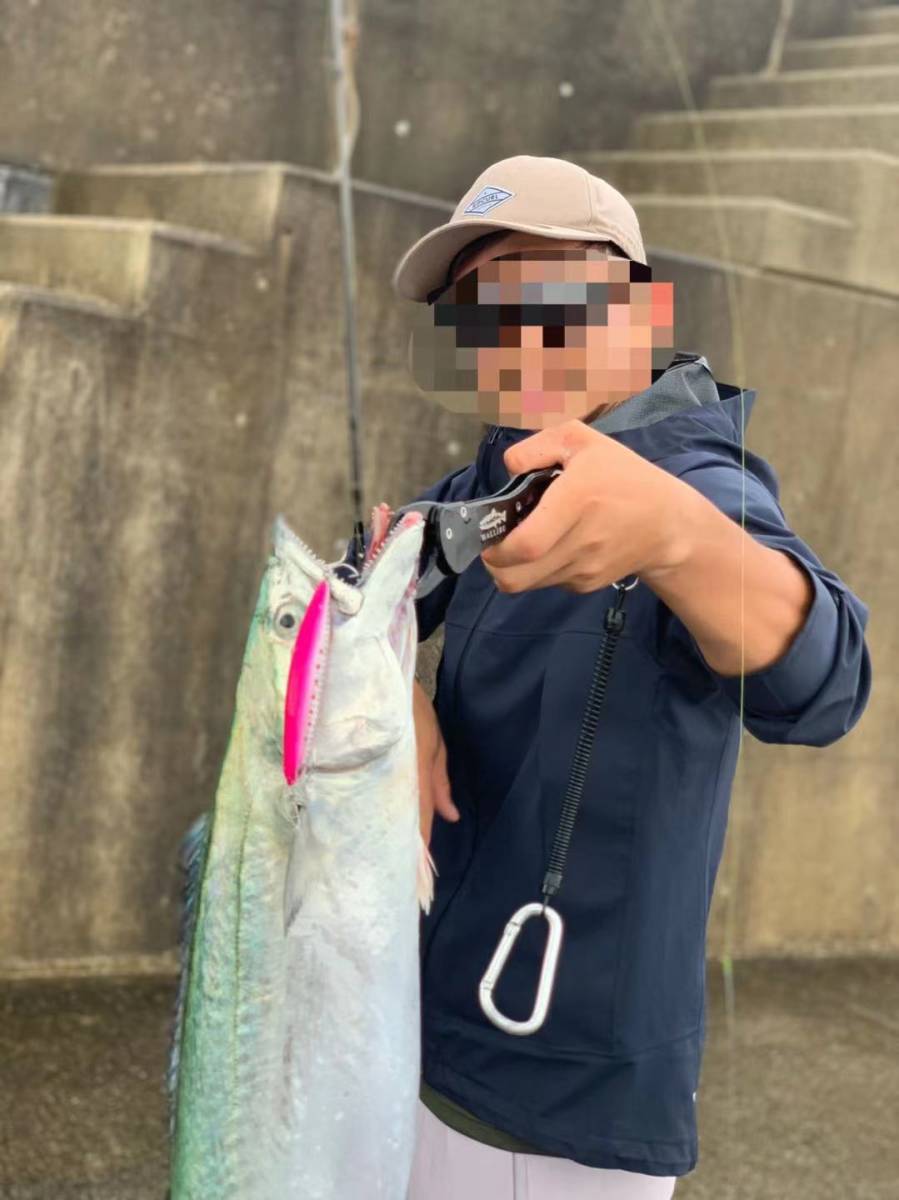 シーバス青物等に 5個セットケース付きヘビーシンキングミノー95mm30g 検 Duo Duel デュオ ダイワ メガバス ジャッカル 好きに Fls1 ミノー 売買されたオークション情報 Yahooの商品情報をアーカイブ公開 オークファン Aucfan Com