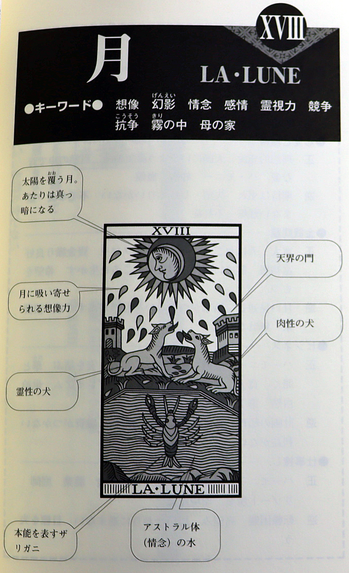 品 書籍 秘伝カモワンタロット マルセイユ アルカナ フィリップ リーディング 占い Gakken 学研 函 カード付 タロット 売買されたオークション情報 Yahooの商品情報をアーカイブ公開 オークファン Aucfan Com