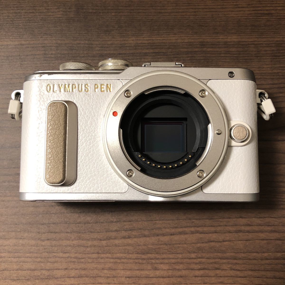 オリンパス OLYMPUS PEN E-PL8 ボディ 【公式通販】