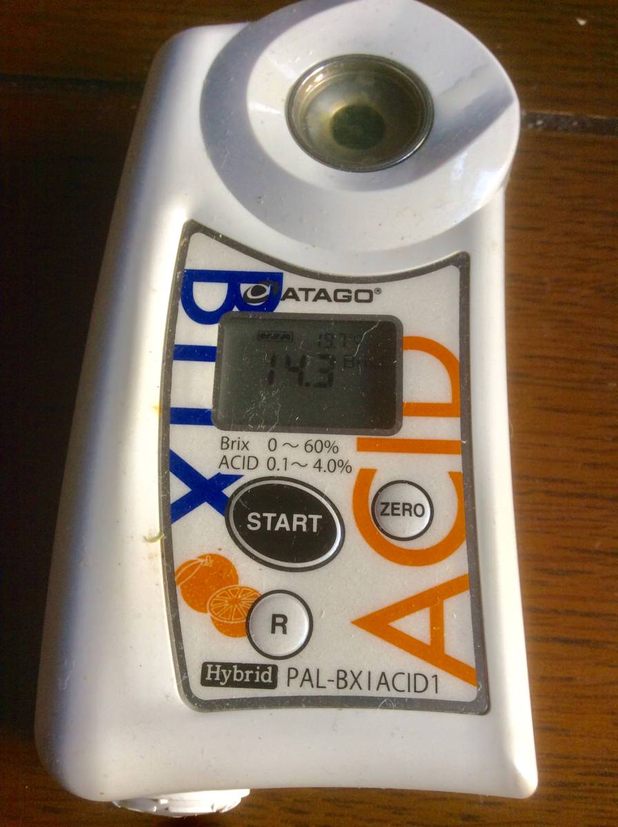WAACニットセットアップ WAAC 大きいサイズ ニットセットアップ