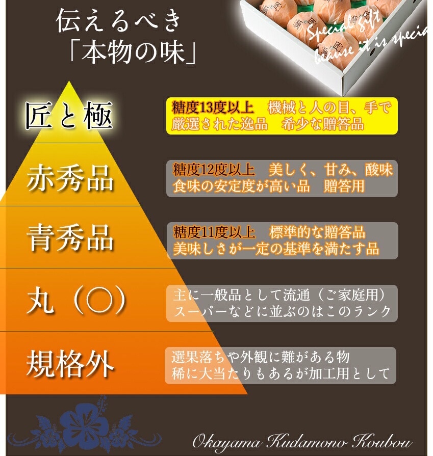 WAACニットセットアップ WAAC 大きいサイズ ニットセットアップ