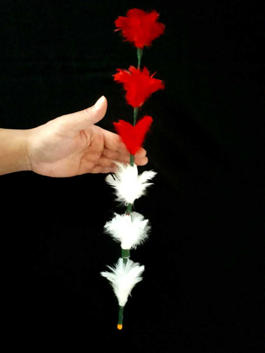 マジック手品 紅白の花 日本奇術連盟作品1984年 37年前 制作の年代物 稀少品 和妻やフラワーマジックのアレンジに 手品 売買されたオークション情報 Yahooの商品情報をアーカイブ公開 オークファン Aucfan Com