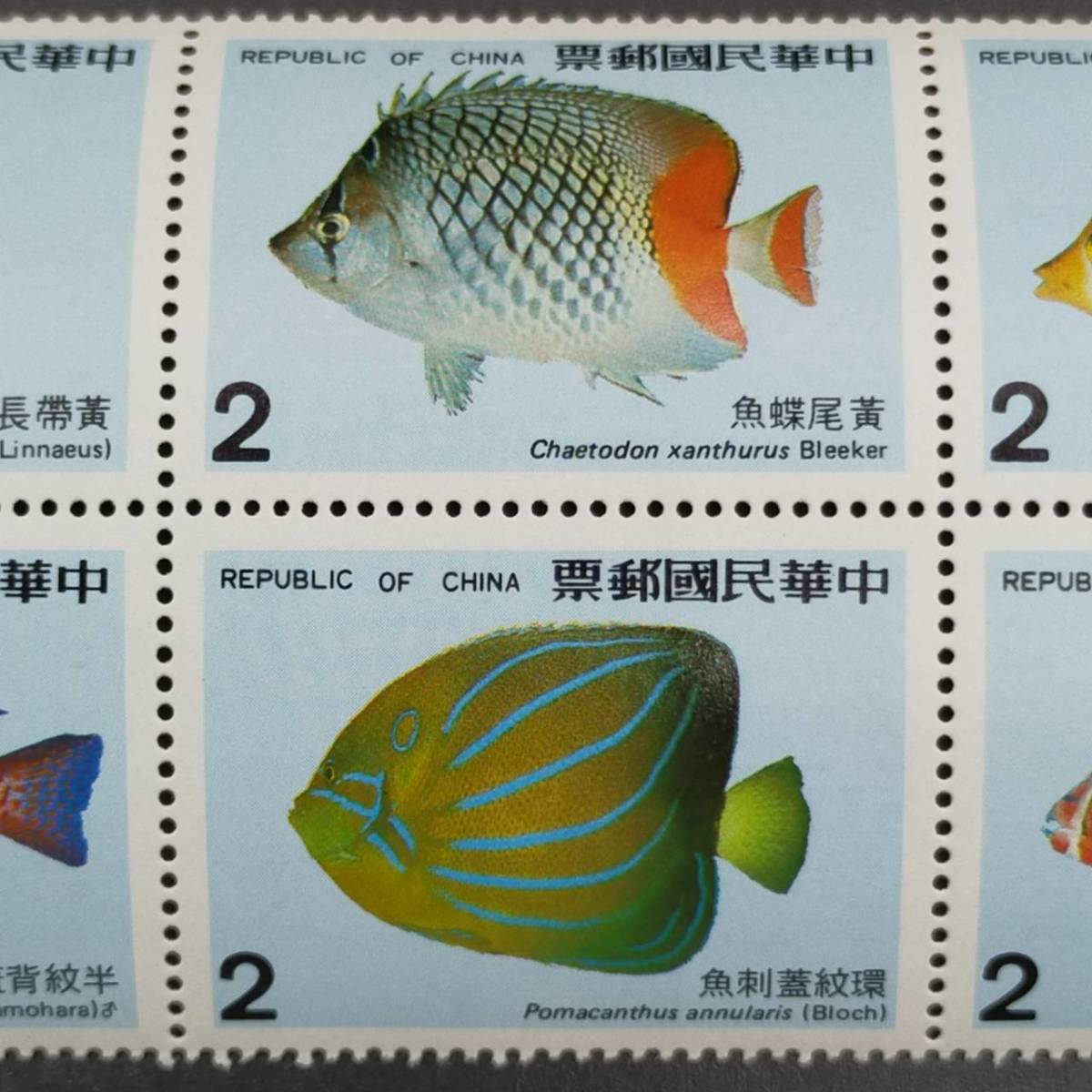 超レア！中国切手 海洋生物類 珊瑚礁魚類 10種完 1975年 中華民国郵票  