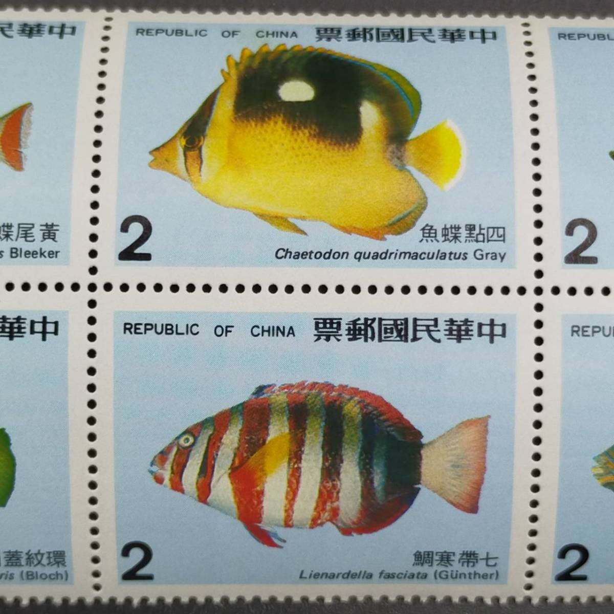 超レア！中国切手 海洋生物類 珊瑚礁魚類 10種完 1975年 中華民国郵票  