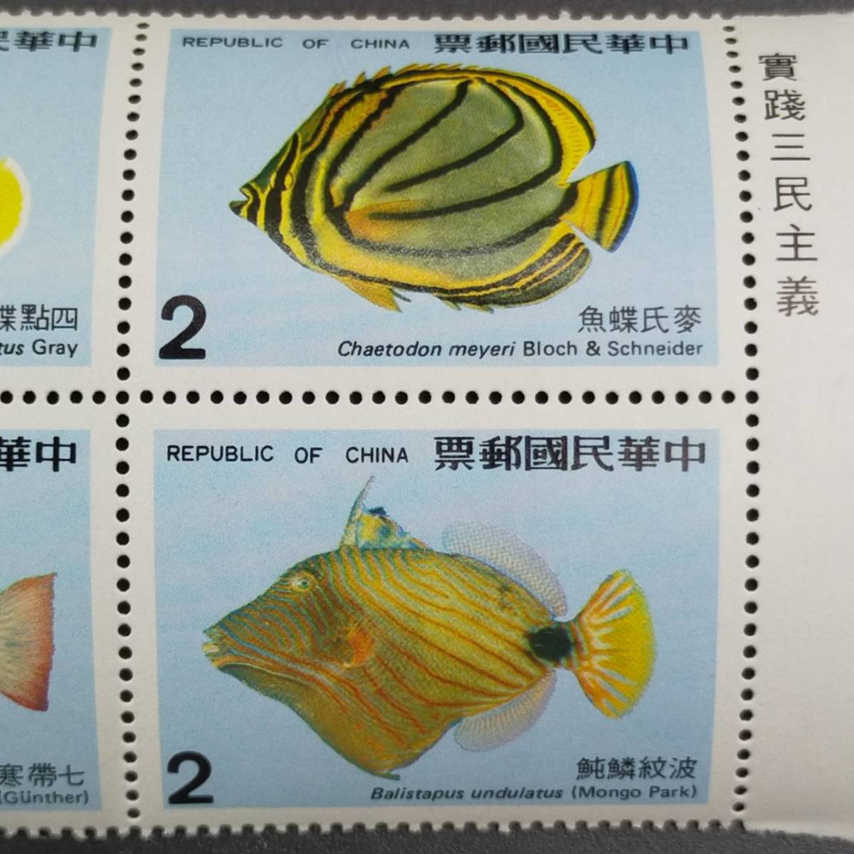 超レア！中国切手 海洋生物類 珊瑚礁魚類 10種完 1975年 中華民国郵票  
