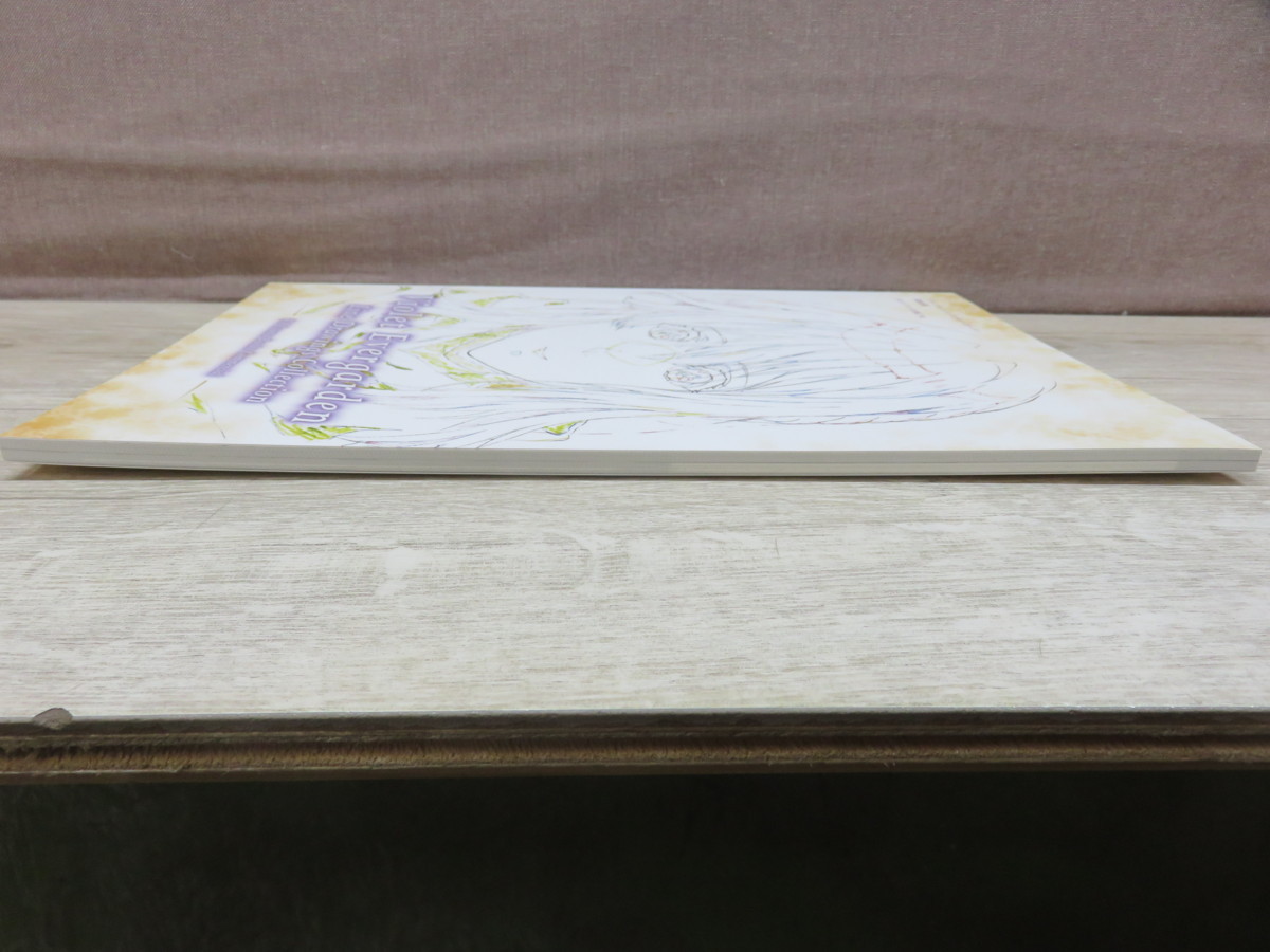 ヴァイオレット エヴァーガーデン Kaエスマ文庫cm 線画集 京都アニメーション 17年 原画 設定資料集 売買されたオークション情報 Yahooの商品情報をアーカイブ公開 オークファン Aucfan Com