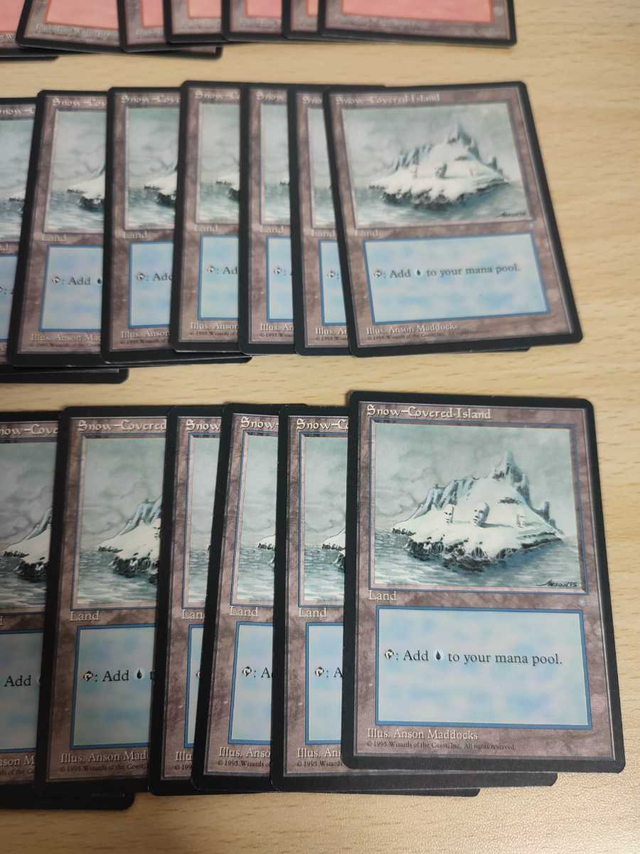 MTG アイスエイジ 冠雪土地 119枚