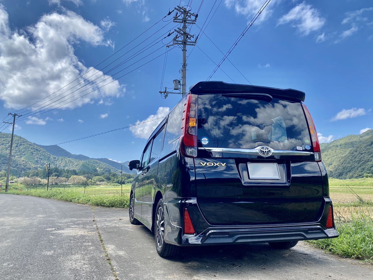 エスクァイア バックドアガーニッシュ