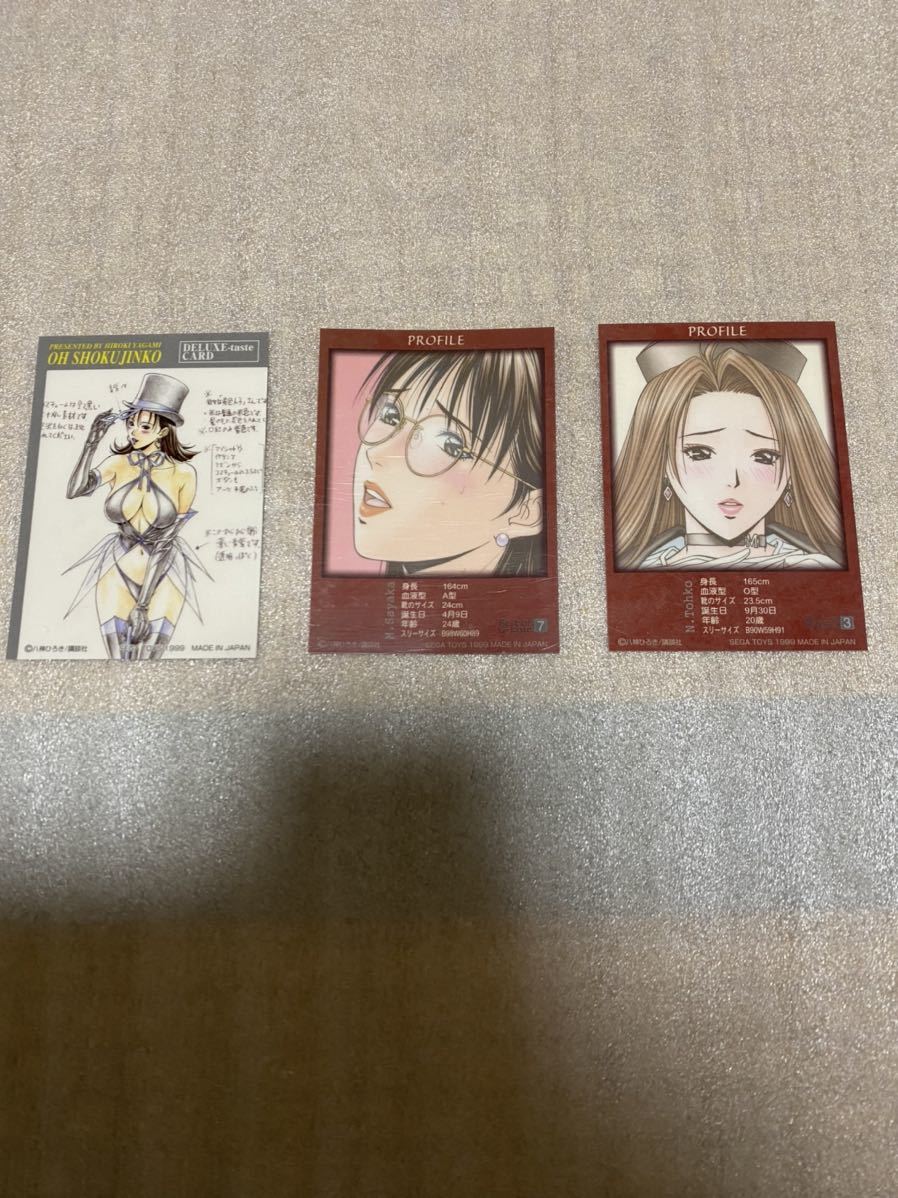 八神ひろき G-taste トレーディングカード セガトイズ版セット 