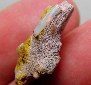 激レア 13.30ct オパール化した貝の化石 ツノガイ シェルオパール 化石 