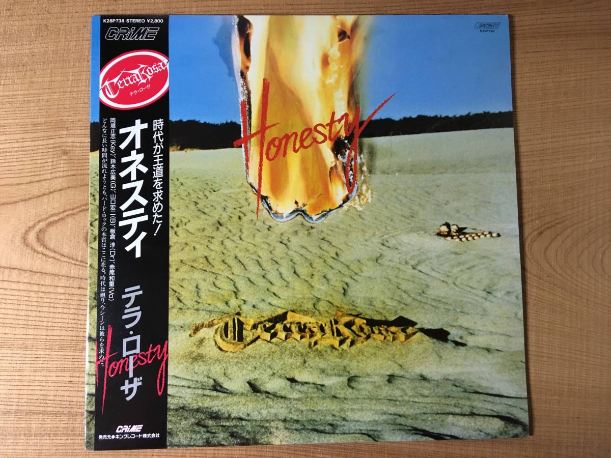 TERRA ROSA 「THE ENDLESS BASIS」 レコード Terra Rosa – The Endless