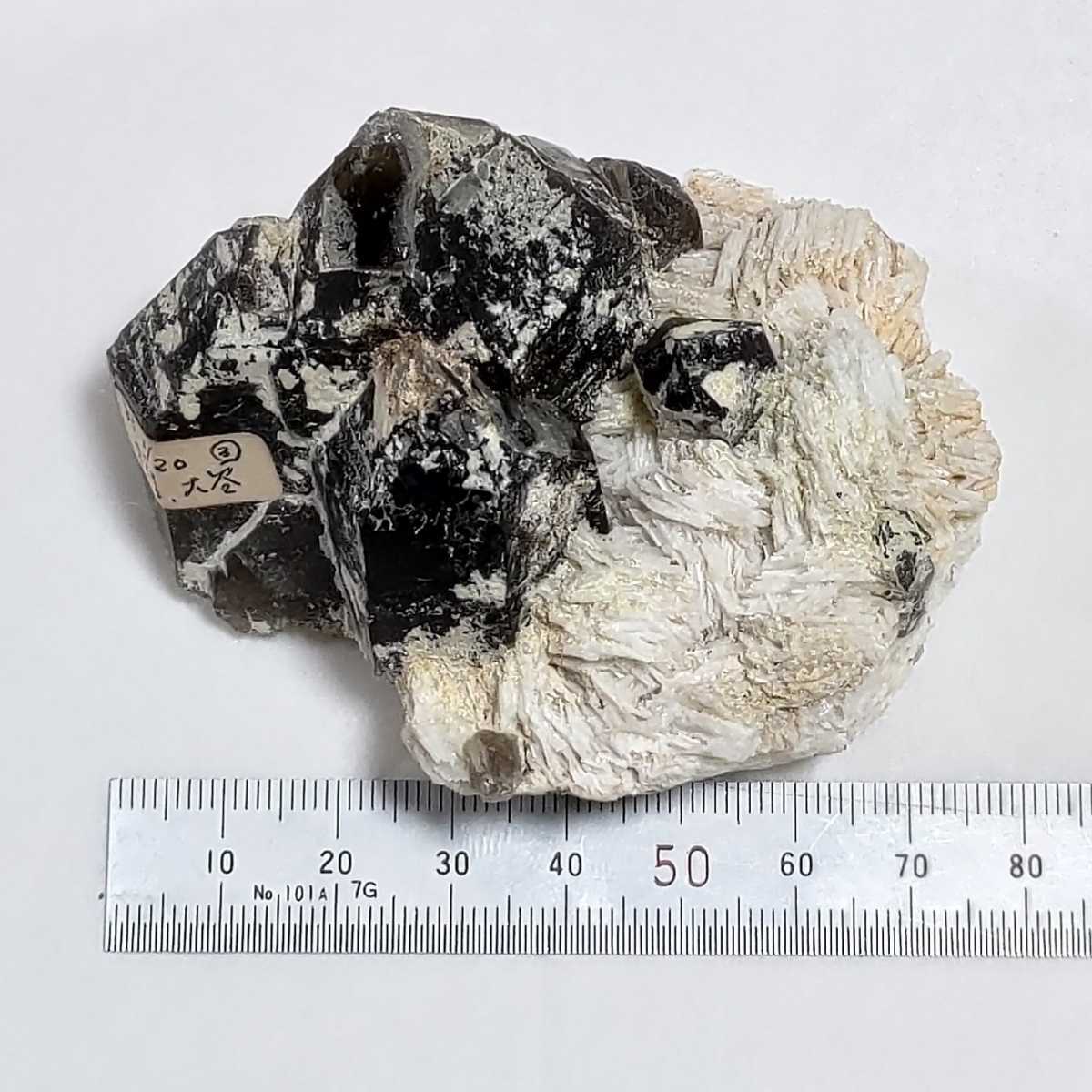 煙水晶 (Smoky - Quartz 鉱物標本販売店 Japan) ⁄ 滋賀県田上山産 国産