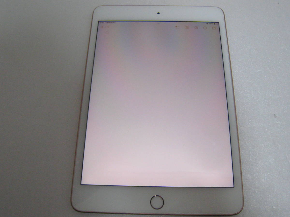 ジャンク扱いで simフリー iPad mini5 Wi-FI+セルラー 64GB No18