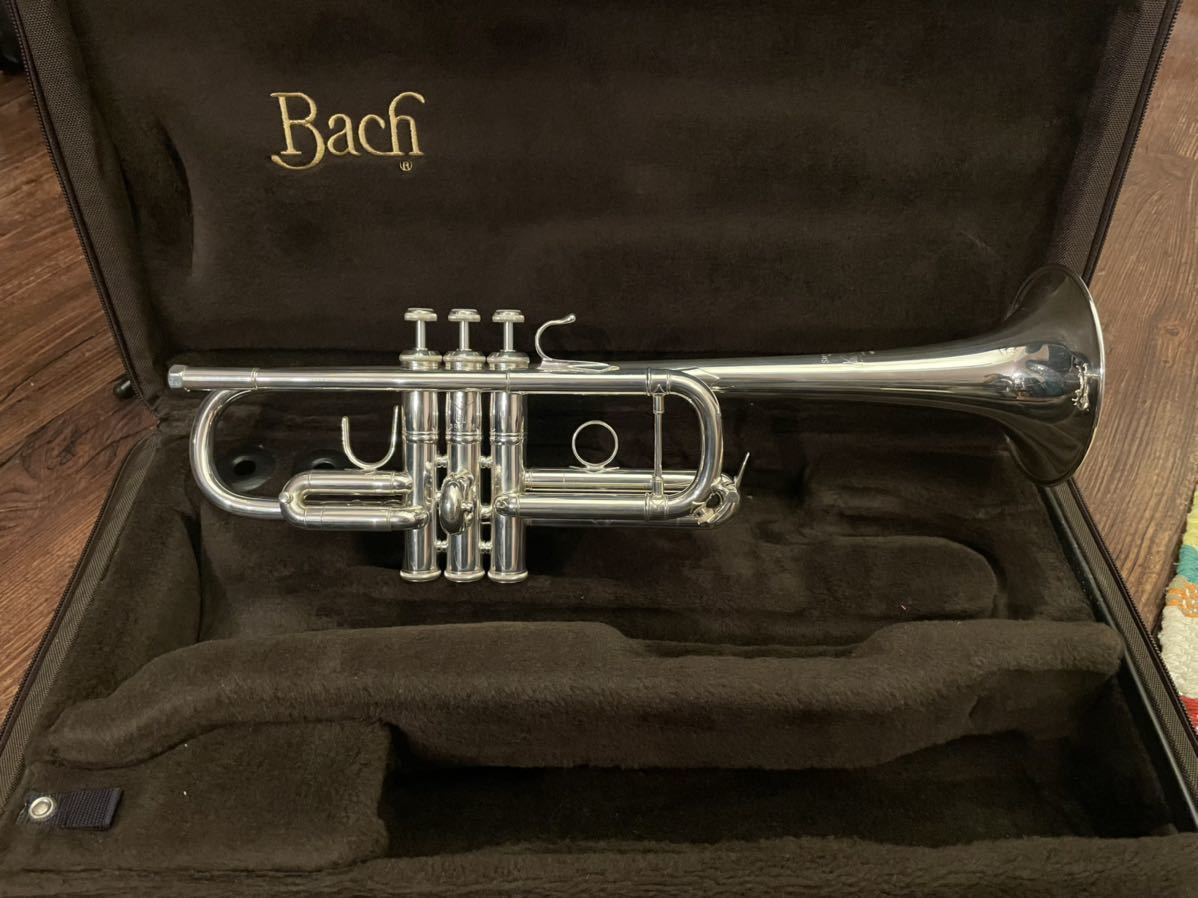 k1065259303.8
