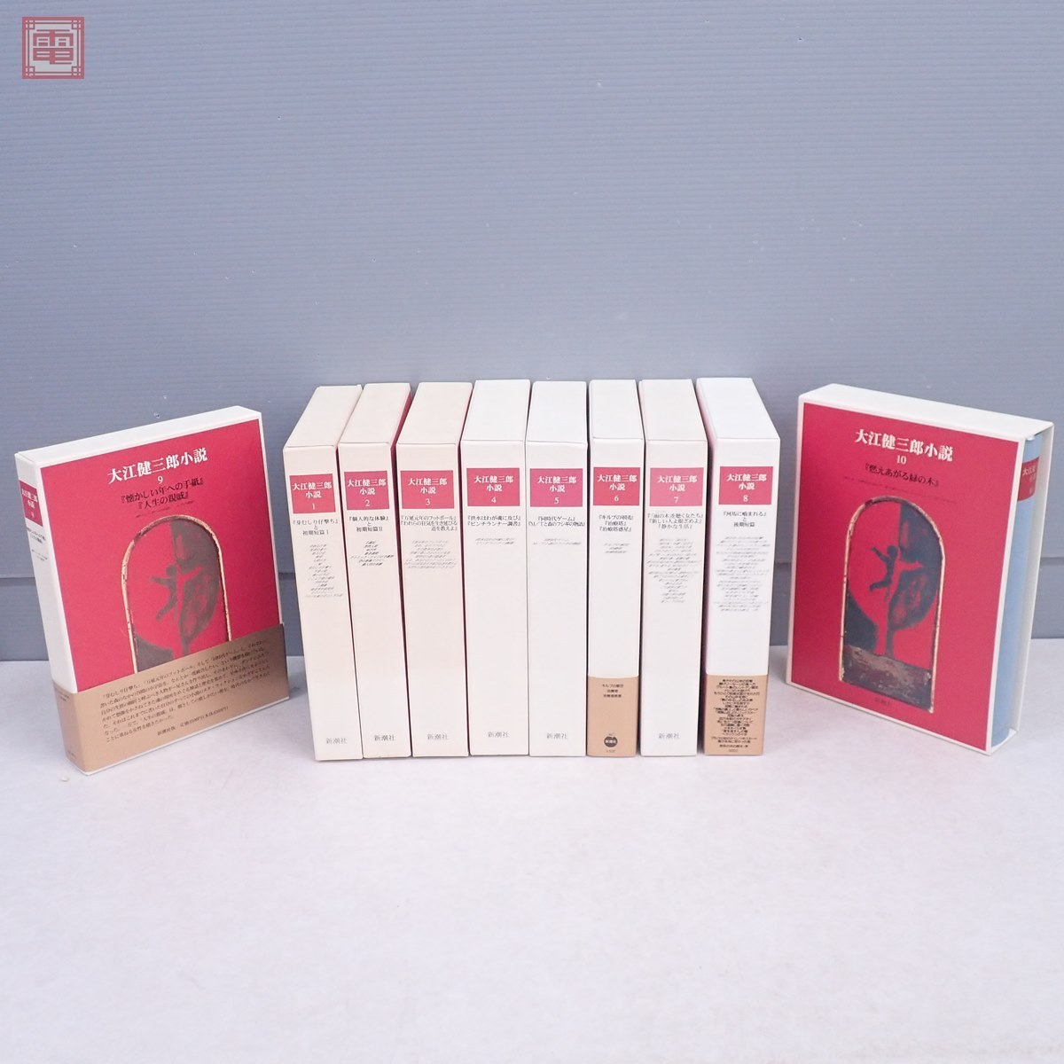 大江健三郎小説 全10巻揃 月報揃 新潮社 1996年発行 函入 万延元年のフットボール 芽むしり仔撃ち 個人的な体験 洪水はわが魂に及び 等 大江健三郎 売買されたオークション情報 Yahooの商品情報をアーカイブ公開 オークファン Aucfan Com