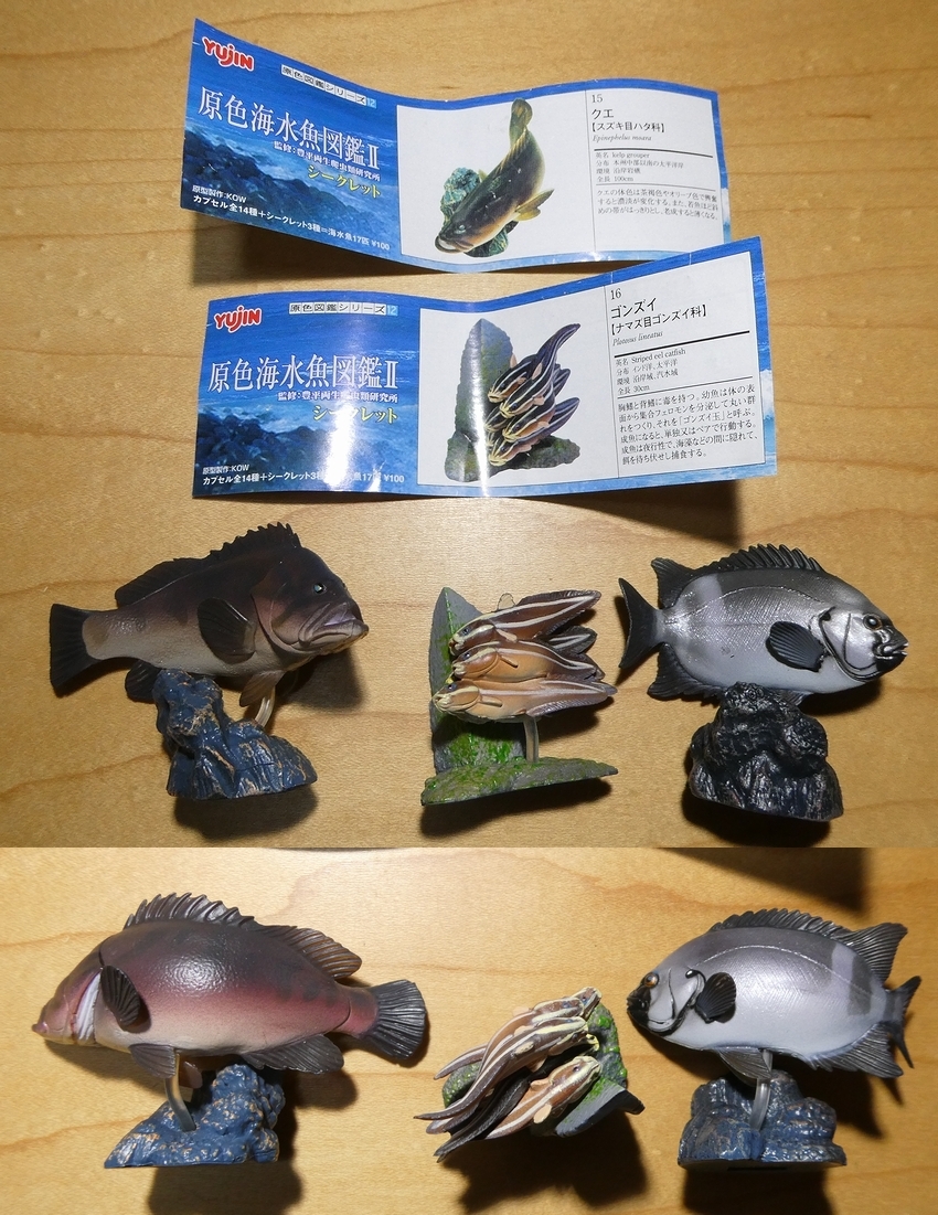 公式ショップ 原色海水魚図鑑 コンプセット その他 フィギュア 8 122 Laeknavaktin Is