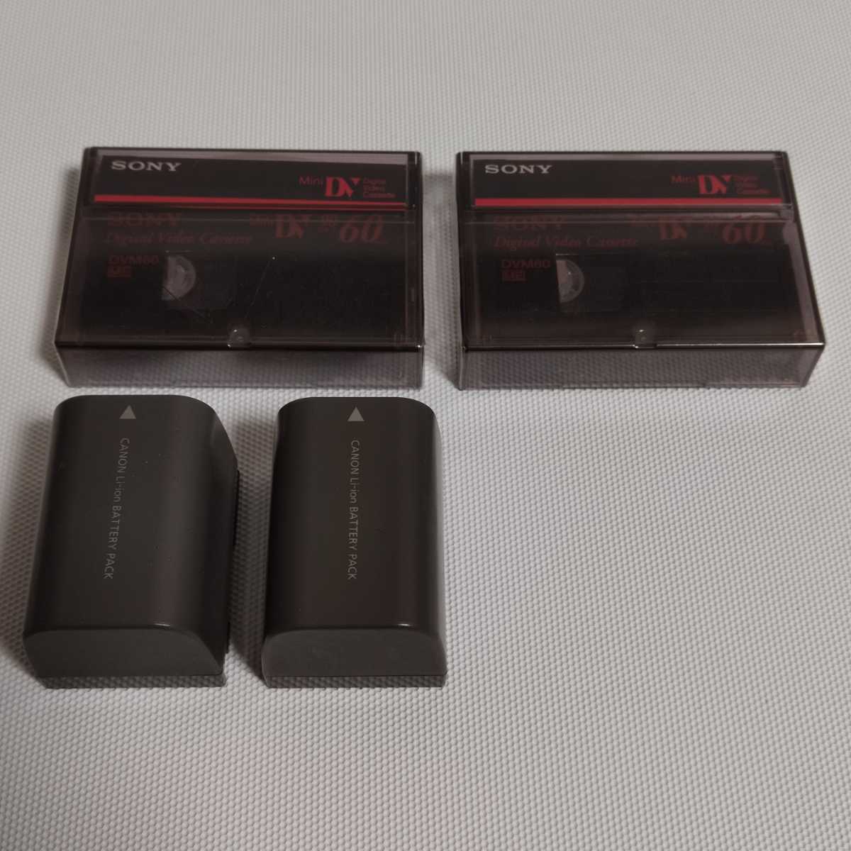 Canon キャノン iVIS HF M41 レッド 赤 ビデオカメラ キヤノン