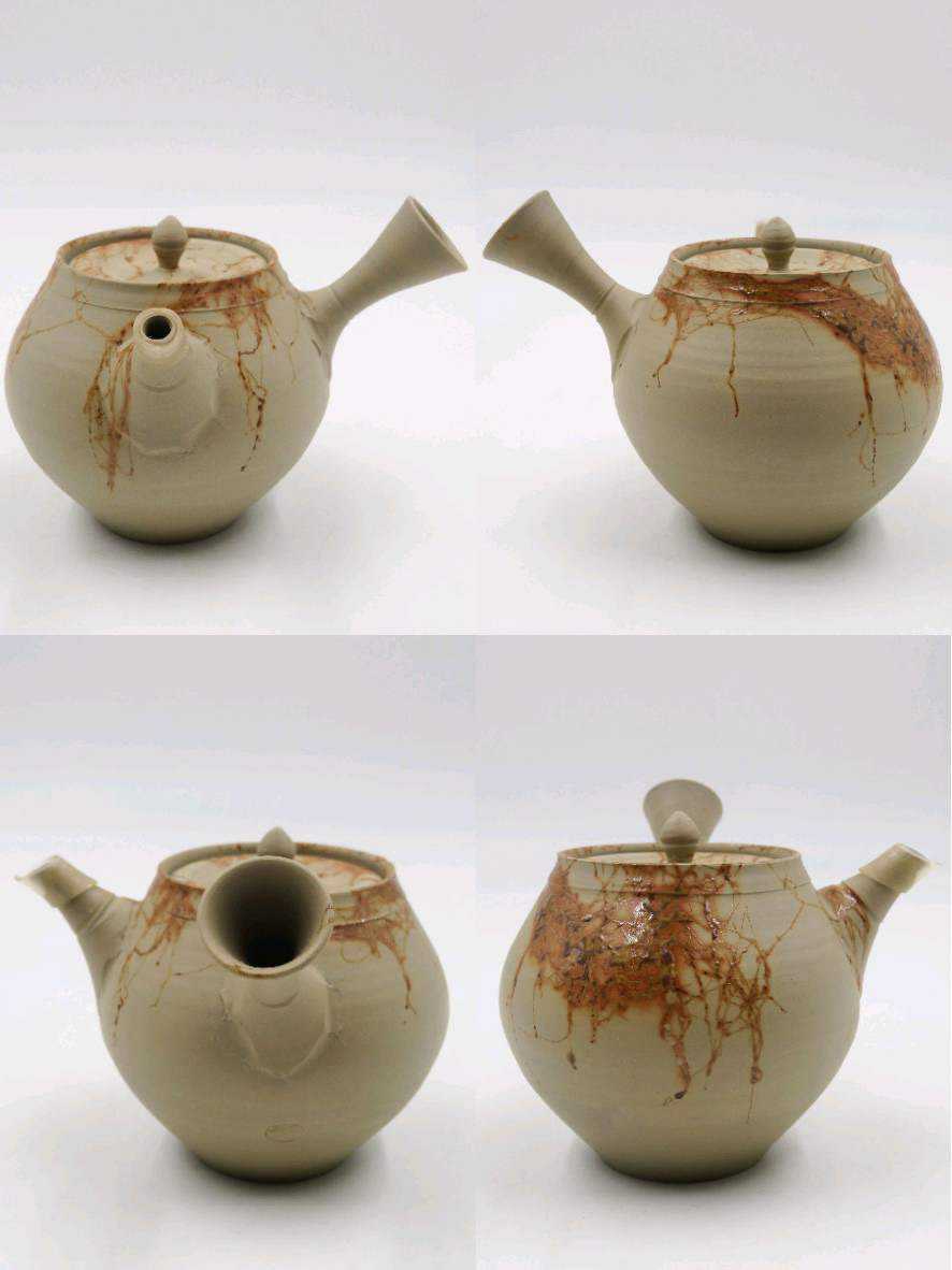 ≪煎茶道具≫ 常滑焼 【谷川菁山】 『白泥 藻掛 茶器揃 急須