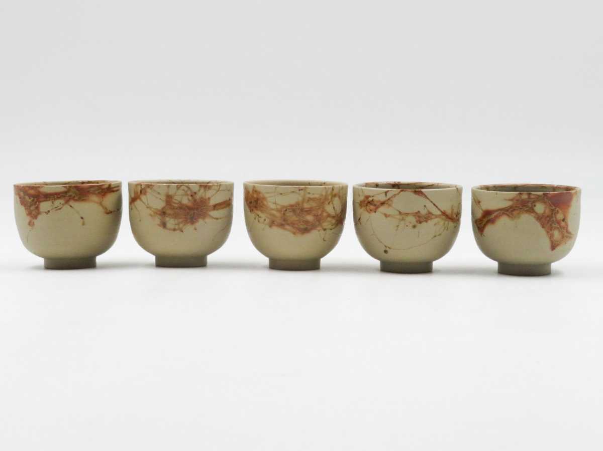 ≪煎茶道具≫ 常滑焼 【谷川菁山】 『白泥 藻掛 茶器揃 急須