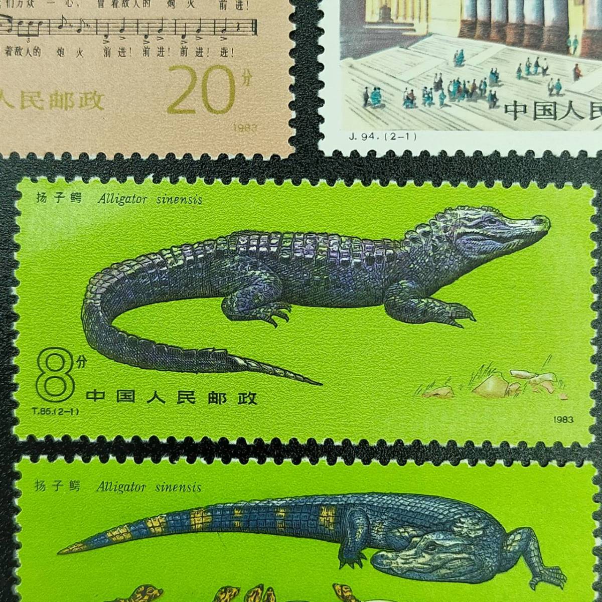 超レア！中国切手 中国人民郵政 2種完 CHINA 楊子江ワニ 雄 第6期全国 