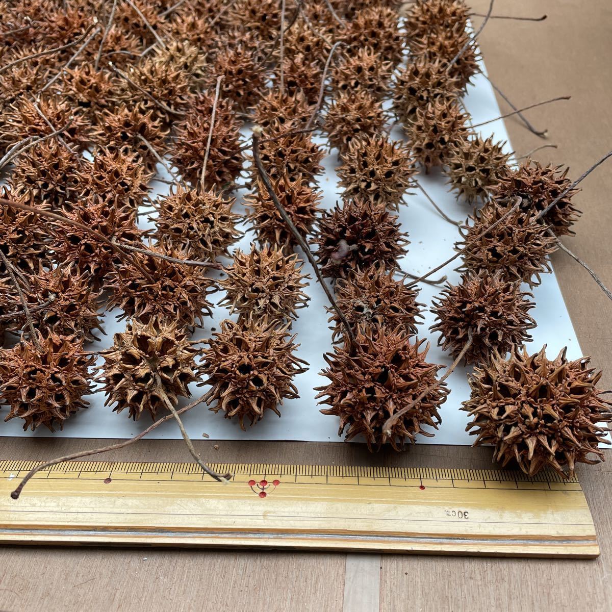 90個 良質 モミジバフウ クリスマスリース ドライフラワー ハンドメイドに 送料394円 アメリカフウ 稚エビの隠れ家 フウの実 その他 売買されたオークション情報 Yahooの商品情報をアーカイブ公開 オークファン Aucfan Com