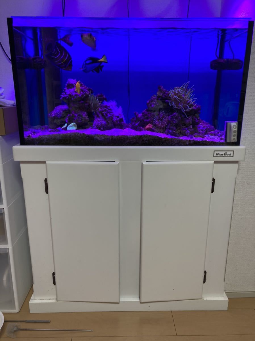  オーバーフロー90cm水槽 引き取り限定(90cm～)｜売買されたオークション情報、yahooの商品情報をアーカイブ公開 - オークファン 90cm～
